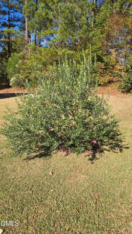 8005 Mill Bluff Court, Raleigh, NC 27616