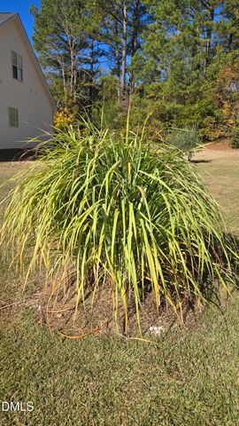 8005 Mill Bluff Court, Raleigh, NC 27616