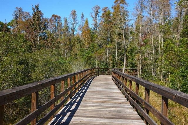 7796 PAINTED SKY PLACE, Land O Lakes, FL 34637