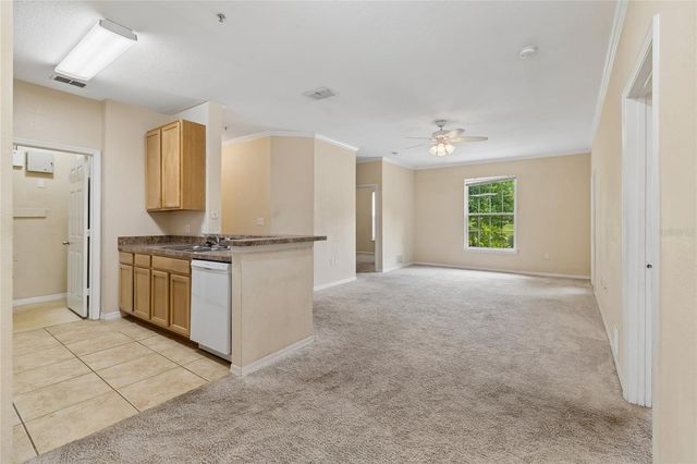 10203 COURTNEY PALMS BOULEVARD 103, Tampa, FL 33619
