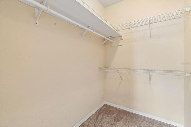 10203 COURTNEY PALMS BOULEVARD 103, Tampa, FL 33619