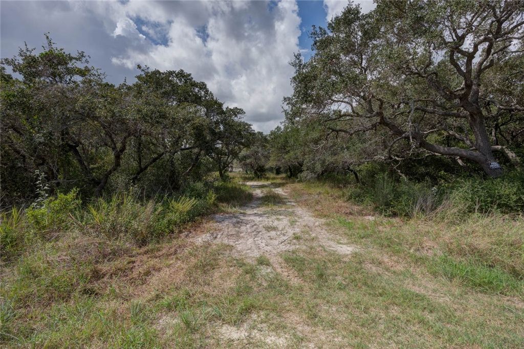 00 W Rhodes Ave, Aransas Pass, TX 78336 — photo 4