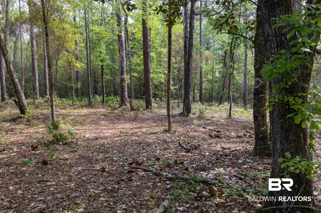 0 Cedar Trace, Theodore, AL 36582
