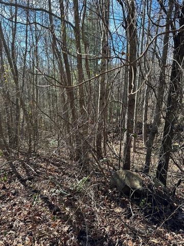 5 lots Ali Drive, Hayesville, NC 28904