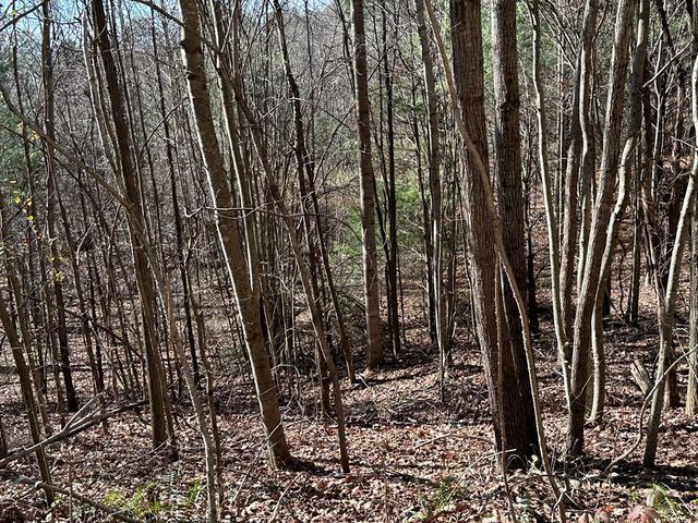 5 lots Ali Drive, Hayesville, NC 28904