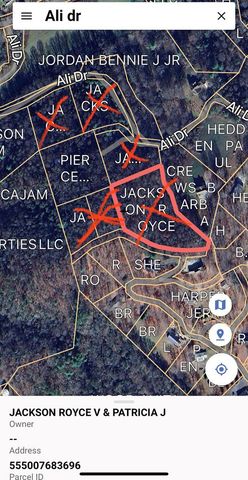 5 lots Ali Drive, Hayesville, NC 28904