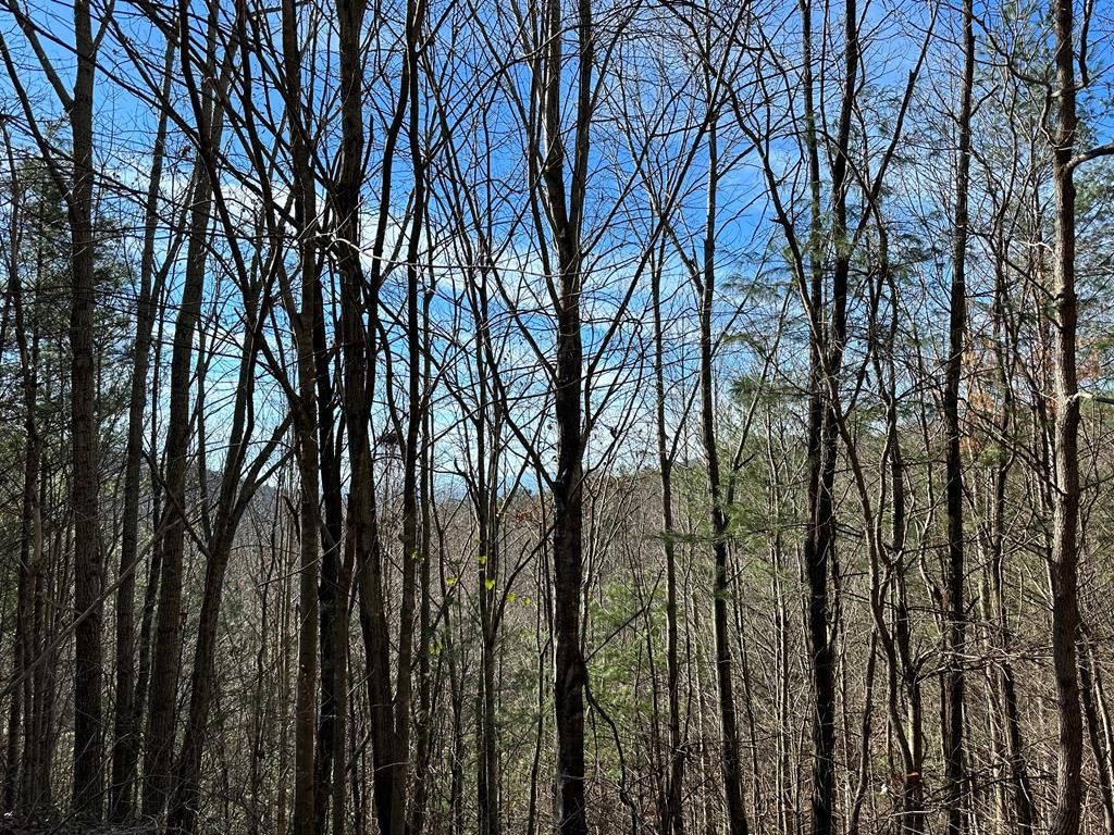 5 lots Ali Drive, Hayesville, NC 28904