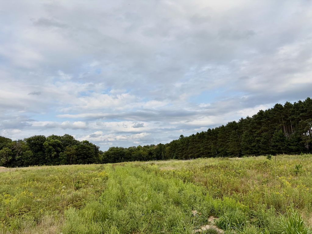(Lot 3) TBD Tulip Street NW, Stanchfield, MN 55080 — exterior