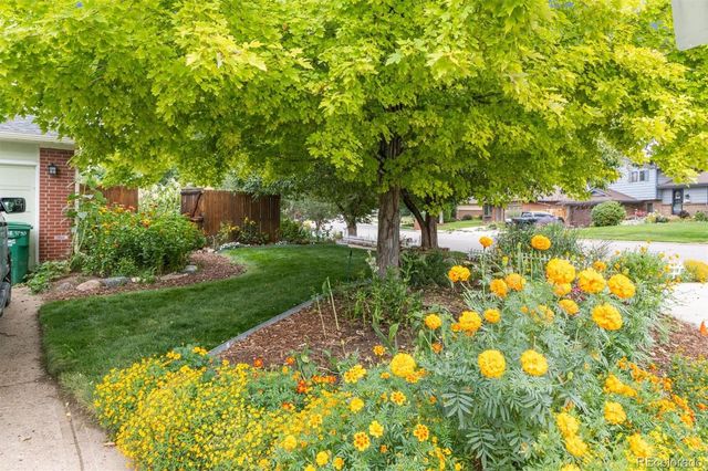 3790 S Eaton Street, Denver, CO 80235