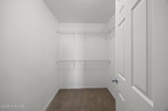 307 Murphy Drive, Jacksonville, NC 28540