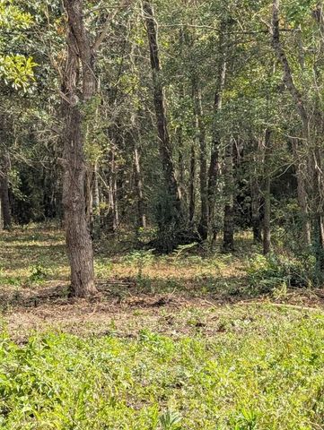 15577 E Relza Drive, Splendora, TX 77372