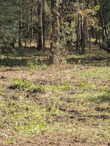 15577 E Relza Drive, Splendora, TX 77372