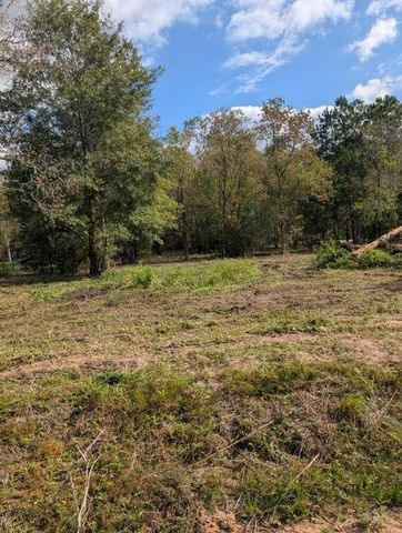 15577 E Relza Drive, Splendora, TX 77372