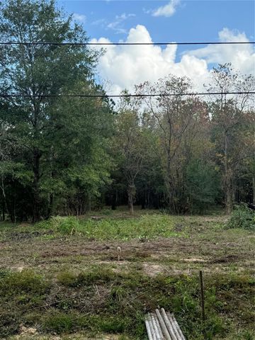 15577 E Relza Drive, Splendora, TX 77372