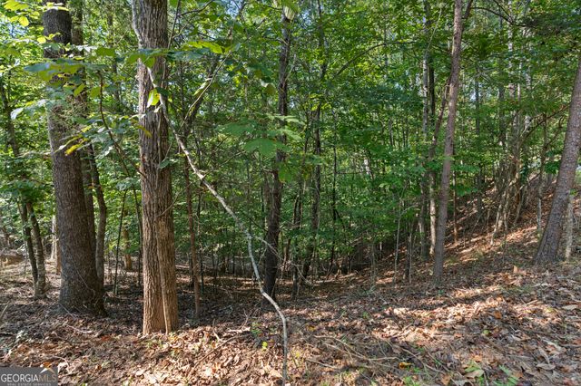6314 Point Twenty Two, Gainesville, GA 30506
