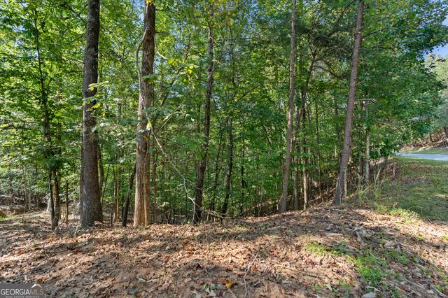 6314 Point Twenty Two, Gainesville, GA 30506