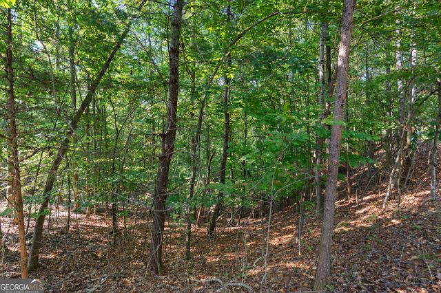 6314 Point Twenty Two, Gainesville, GA 30506