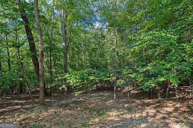 6314 Point Twenty Two, Gainesville, GA 30506