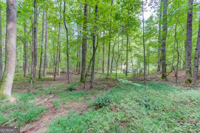 6350 Blackjack Road, Flowery Branch, GA 30542