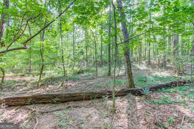 6350 Blackjack Road, Flowery Branch, GA 30542