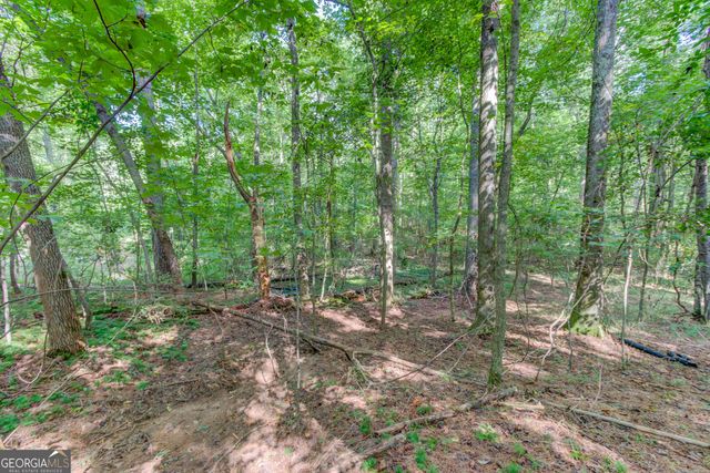 6350 Blackjack Road, Flowery Branch, GA 30542