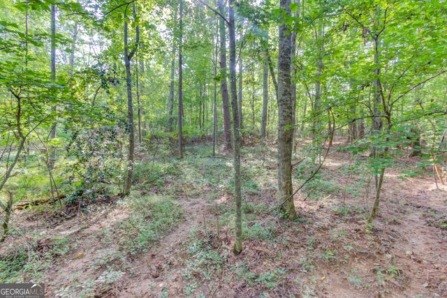 6350 Blackjack Road, Flowery Branch, GA 30542