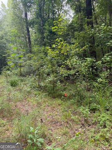 6350 Blackjack Road, Flowery Branch, GA 30542