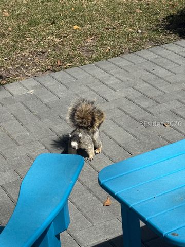 60 Stable Gate Rd, Hilton Head Island, SC 29926