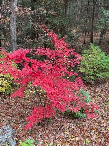 14 Pebble Ridge Road, Amherst, MA 01002