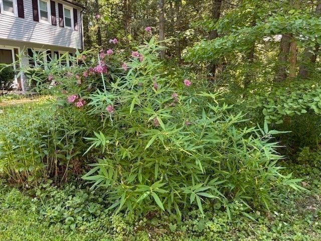 14 Pebble Ridge Road, Amherst, MA 01002