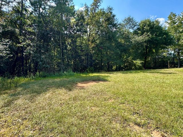 238 County Road 263, Headland, AL 36345