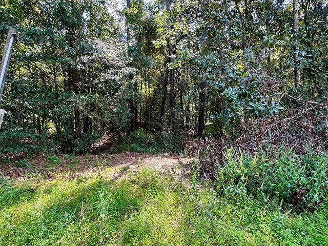 238 County Road 263, Headland, AL 36345