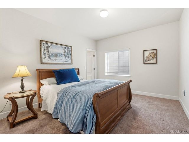 7359 Blue Water Dr, Castle Rock, CO 80108