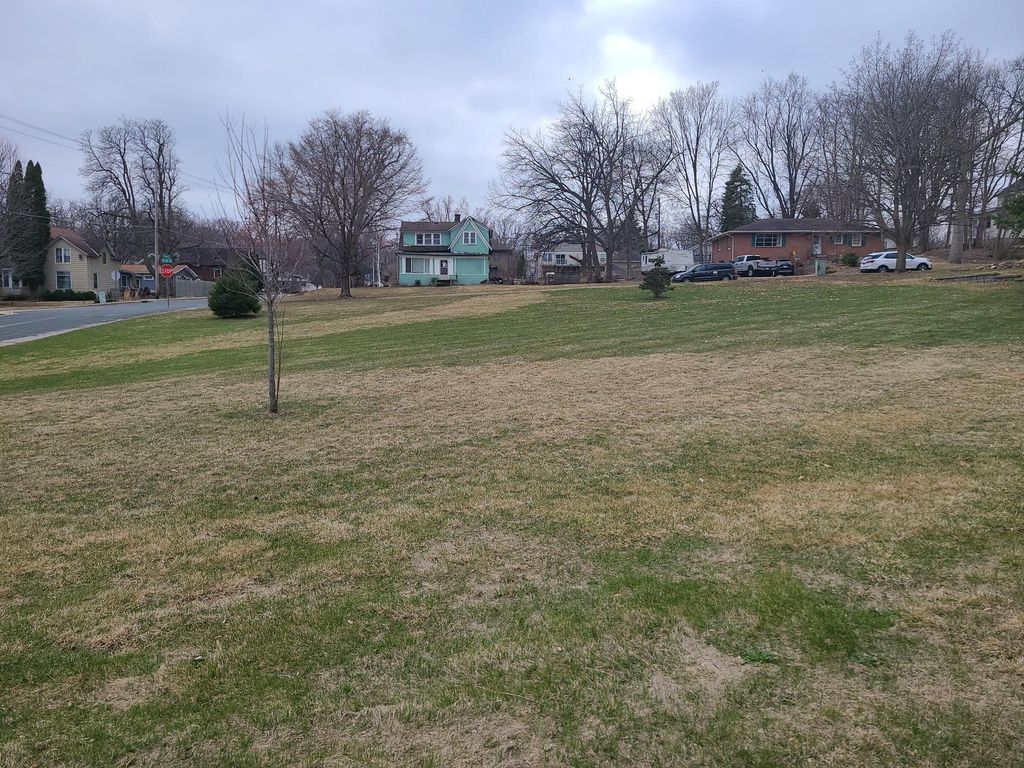 4XX Spring Street, Hastings, MN 55033 — photo 3