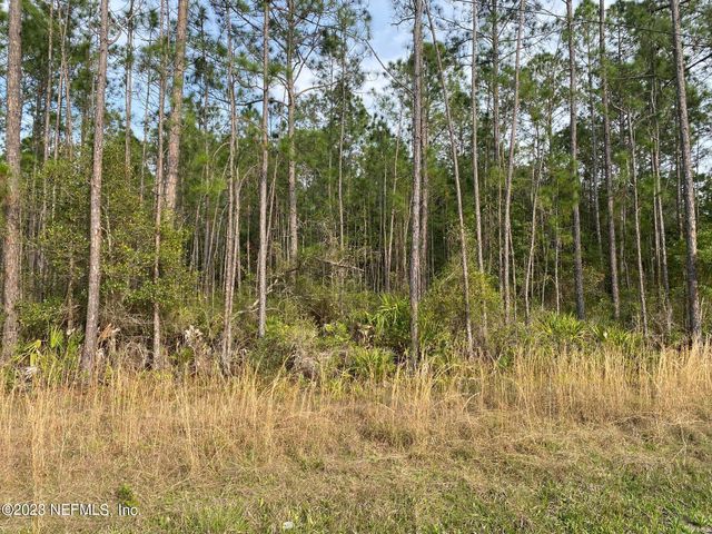 AAA CR 315, Interlachen, FL 32148