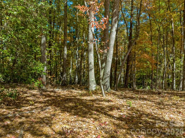 75 Emerald Necklace Drive 411, Asheville, NC 28803