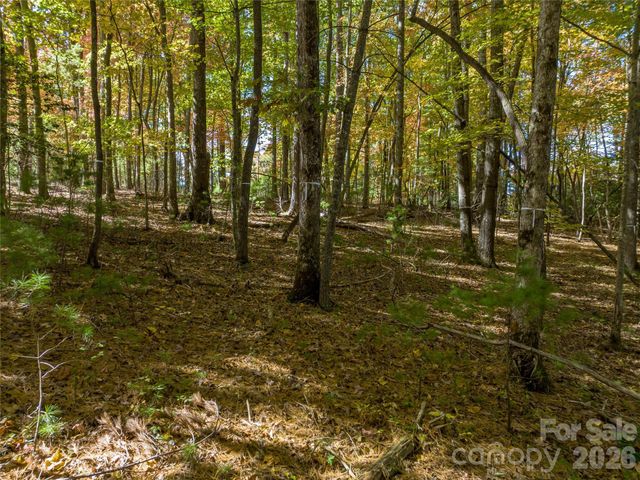 75 Emerald Necklace Drive 411, Asheville, NC 28803
