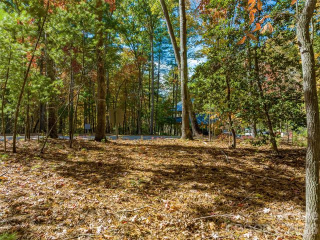 75 Emerald Necklace Drive 411, Asheville, NC 28803