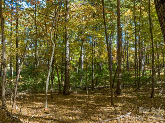 75 Emerald Necklace Drive 411, Asheville, NC 28803