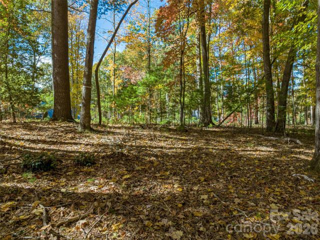 75 Emerald Necklace Drive 411, Asheville, NC 28803