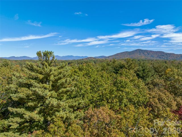 75 Emerald Necklace Drive 411, Asheville, NC 28803