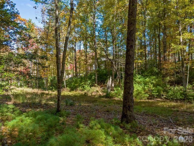 75 Emerald Necklace Drive 411, Asheville, NC 28803