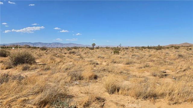 0 Dalton Ave to Balboa Ave & 6th St, Mojave, CA 93501