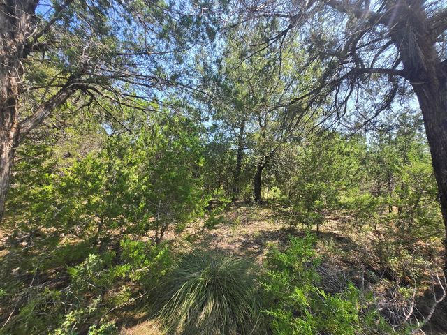 3301 Constitution DR, Lago Vista, TX 78645
