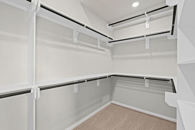 6402 Citron Elm Road, Manvel, TX 77578