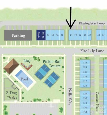 6557 Fire Lily Lane, Charlotte, NC 28216