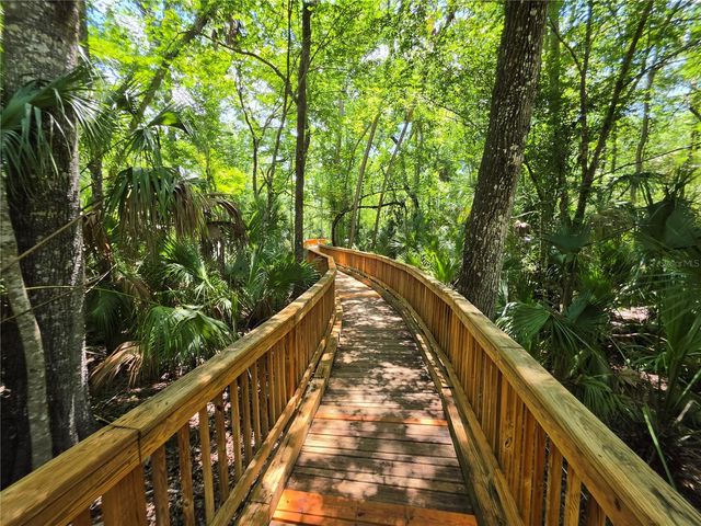 25846 TERRAWOOD LOOP, Land O Lakes, FL 34639