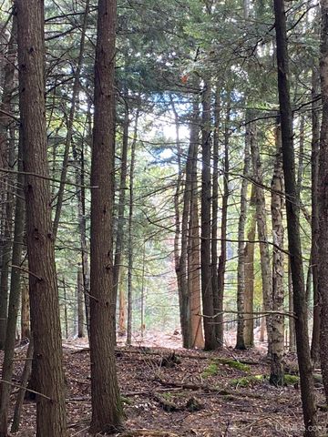 TBD East Stonington Aa.5 Road, Rapid River, MI 49878