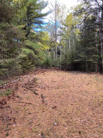 TBD East Stonington Aa.5 Road, Rapid River, MI 49878