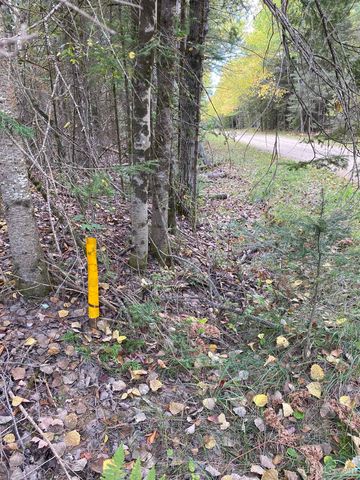 TBD East Stonington Aa.5 Road, Rapid River, MI 49878